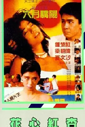 236宅宅伦理