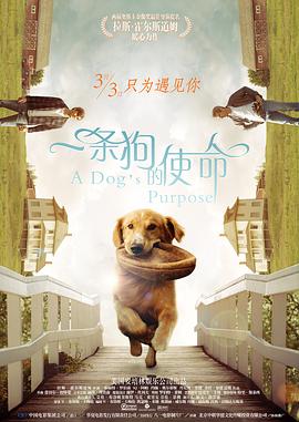 农夫山泉有点甜dvd理论片