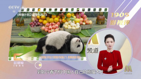 媒体驱动程序：完整课程