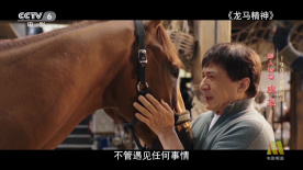 红白网站是什么意思